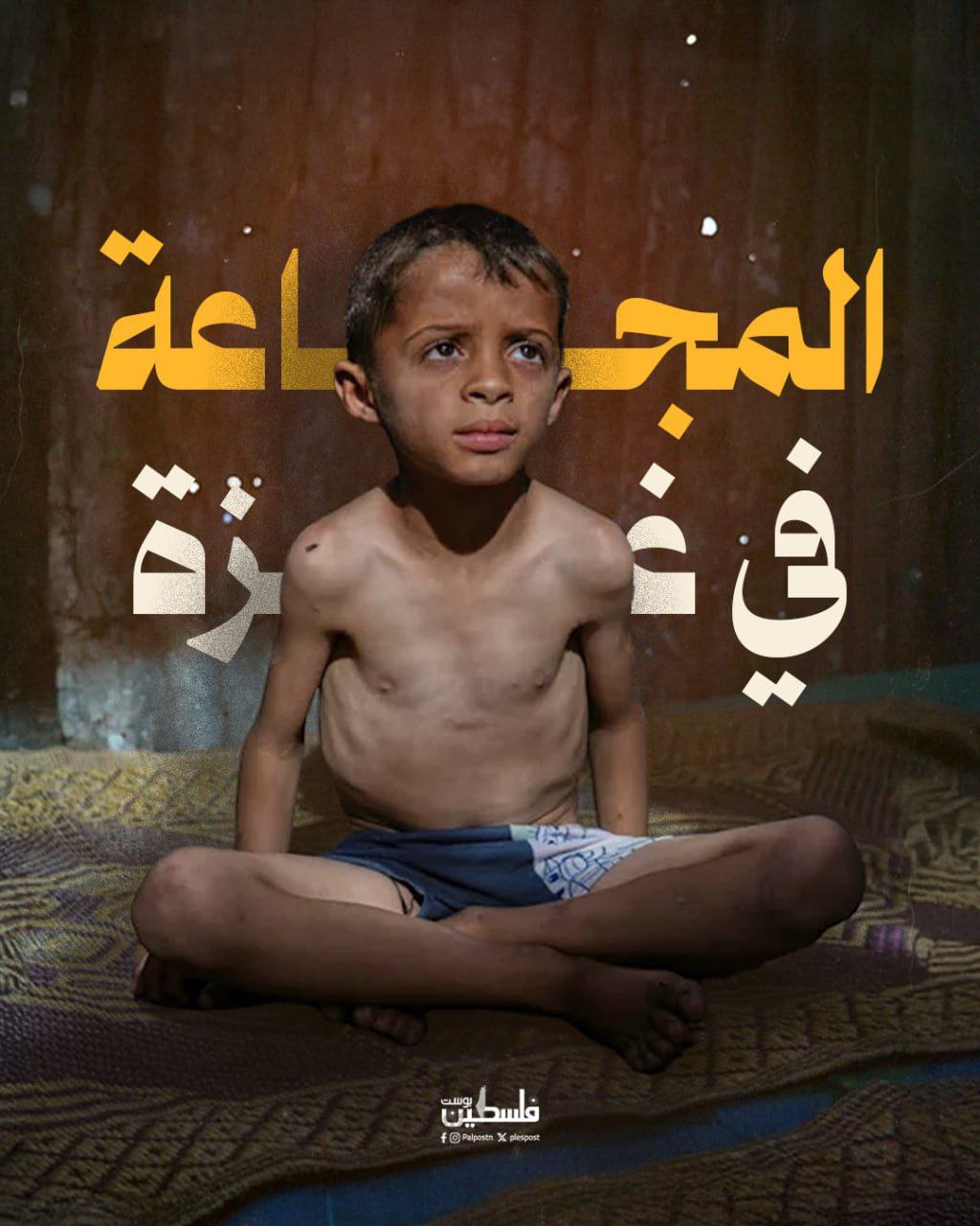 صورة الاشعار