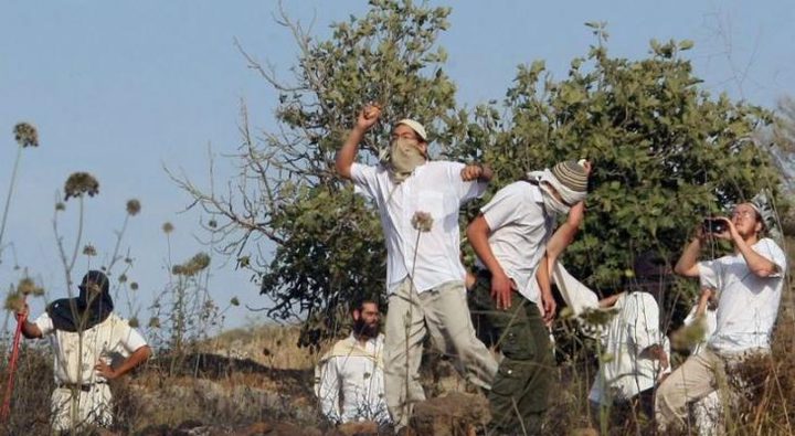 مستوطنون يعتدون على المزارعين ويجبرونهم على مغادرة أراضيهم غرب سلفيت