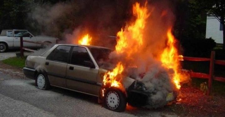 صورة الاشعار