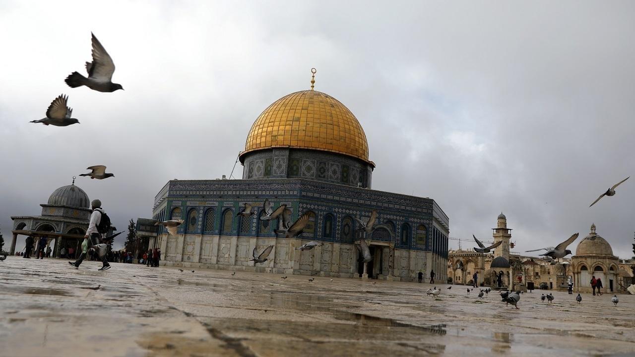صورة الكاتب