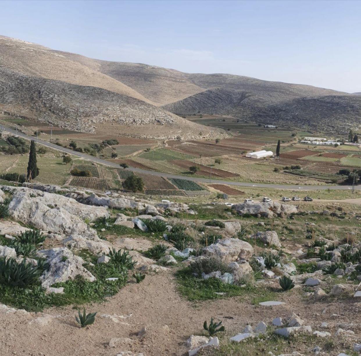 Image of Israeli military officer statement